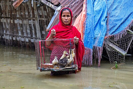 Banshkhali Upazila Chittagong Division Bangladesh 10 July 2026 View of a woman in a red headscarf standing in floodwaters holding a cage of ducklings near a damaged structure. Banshkhali Upazila Chittagong Division Bangladesh 10 July 2026 View of a woman in a red headscarf standing in floodwaters holding a cage of ducklings near a damaged structure.