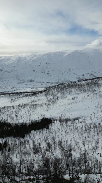 Aerial view of snow covered mountains and forests in Kvaloya Norway.