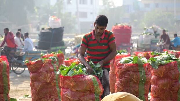 View of a man packing vegetables at a market in Bogura Bangladesh. View of a man packing vegetables at a market in Bogura Bangladesh.