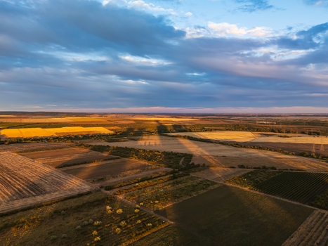 Aerial view of sunlit agricultural fields orchards and tree lined boundaries across rural plains beneath layered clouds and long shadows of the Visonta power plant s chimneys at sunset in Hungary.