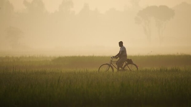 View of a man riding a bicycle through misty fields in Bangladesh.