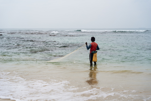 Sri Lanka 03 February 2026 View of a fisherman in a red shirt standing in the shallow turquoise water of the Indian Ocean holding a casting net on a cloudy day.