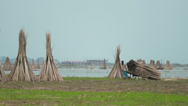 View of a man pushing a cart of jute bundles in Bangladesh.