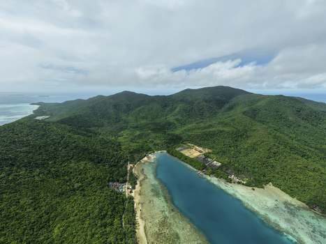 Aerial view of a vibrant turquoise lagoon snaking inland embraced by dense green forests under a vast sky Karimunjawa Central Java Indonesia.