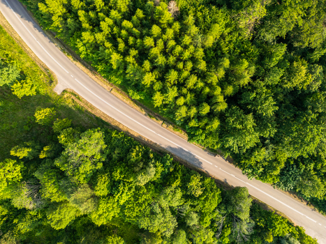 Aerial view of a paved road winding through a dense green forest with lush deciduous and coniferous trees Kadyny Warmian Masurian Voiv Poland. Aerial view of a paved road winding through a dense green forest with lush deciduous and coniferous trees Kadyny Warmian Masurian Voiv Poland.
