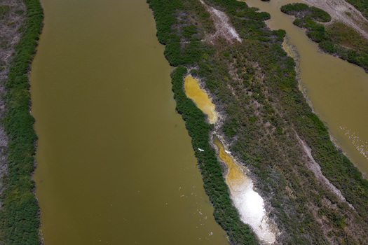Aerial view of Karavasta Lagoon featuring winding waterways lush green vegetation and white birds flying over the murky water in Divjake Fier County Albania.