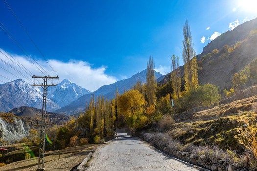 View of the Hunza Valley landscape featuring a road lined with tall golden autumn poplar trees against a backdrop of snow capped mountains under a clear blue sky in Karimabad GB Pakistan. View of the Hunza Valley landscape featuring a road lined with tall golden autumn poplar trees against a backdrop of snow capped mountains under a clear blue sky in Karimabad GB Pakistan.