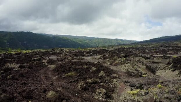 Aerial view of Batur volcano lava fields and green hills Indonesia.