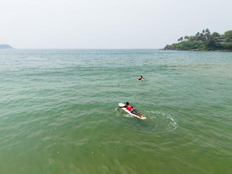 Aerial view of surfers paddling on boards in the turquoise ocean water near a lush tropical coastline in Galle Southern Province Sri Lanka.