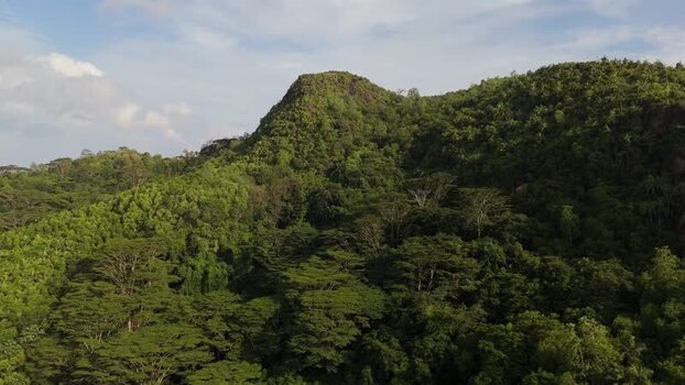 Aerial view of lush green tropical forest on Mahe Seychelles.
