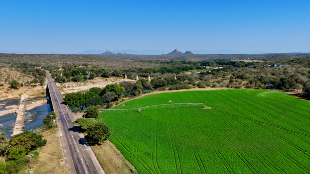 Aerial view of the Olifants River flowing past a bridge and a vibrant green circular agricultural field under a clear blue sky in Hoedspruit Limpopo South Africa. Aerial view of the Olifants River flowing past a bridge and a vibrant green circular agricultural field under a clear blue sky in Hoedspruit Limpopo South Africa.