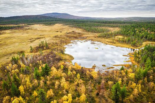 Aerial view of a small lake surrounded by autumn colored birch forests coniferous trees and open tundra landscape in Enontekio Lapland Finland. Aerial view of a small lake surrounded by autumn colored birch forests coniferous trees and open tundra landscape in Enontekio Lapland Finland.