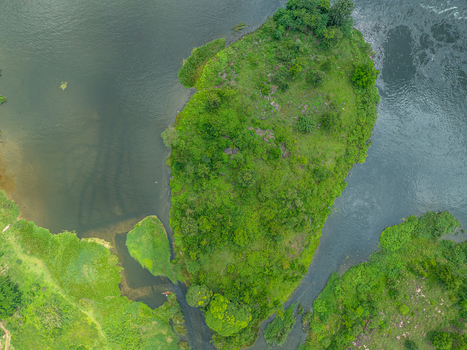 Aerial view of a lush green island surrounded by the flowing waters of the River Nile in Jinja Eastern Region Uganda.
