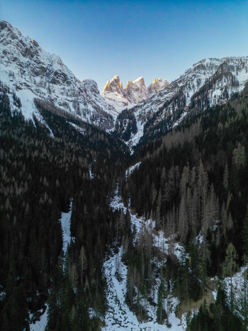 Aerial view of snowy mountain valley with dense pine forests and sunlit jagged peaks under a clear blue sky in Pie Falcade Veneto Italy.
