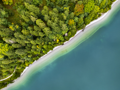 Aerial view of the shoreline where the forest meets the turquoise water creating a serene contrast of green and blue Plansee Tyrol Austria. Aerial view of the shoreline where the forest meets the turquoise water creating a serene contrast of green and blue Plansee Tyrol Austria.