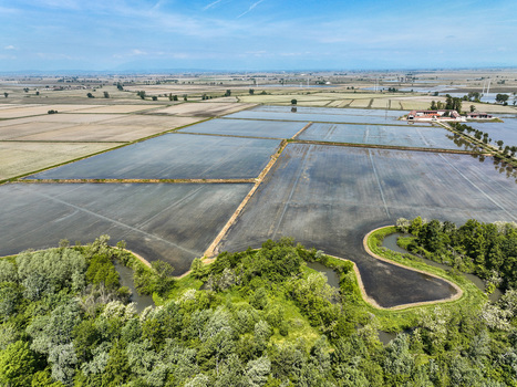 Aerial view of flooded rice fields and rural farmhouses under a clear blue sky in Trino Piedmont Italy.