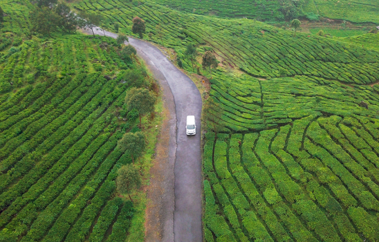 Aerial view of a white van passing through the Rancabali tea plantations in west Java island Indonesia.