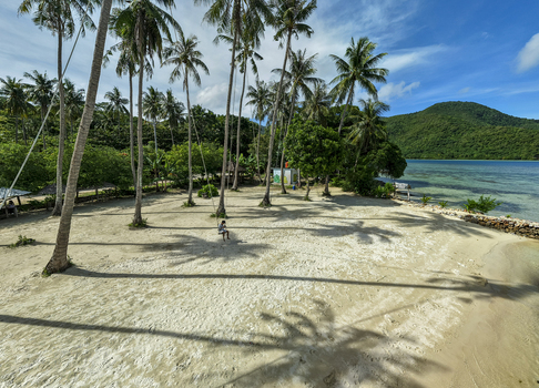 Aerial view of the serene Bobby Beach where palm trees cast long shadows on the white sand meeting the turquoise sea Karimunjawa Jawa Tengah Indonesia.