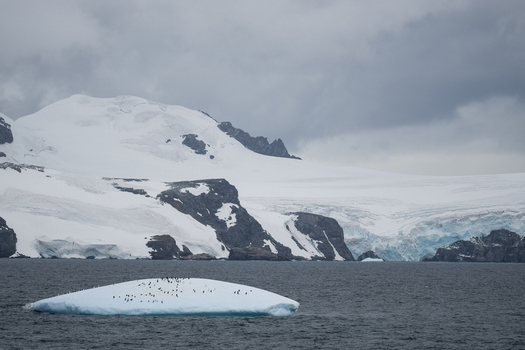 View of a small iceberg with a colony of penguins floating in the cold ocean waters set against a backdrop of snow covered mountains in the South Orkney Islands. View of a small iceberg with a colony of penguins floating in the cold ocean waters set against a backdrop of snow covered mountains in the South Orkney Islands.
