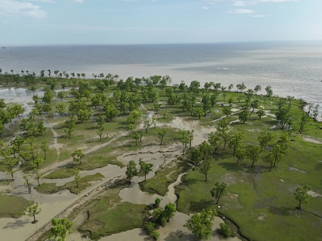Aerial view of the coastal landscape featuring lush green trees scattered across muddy tidal flats near the sea in Sitakund Chittagong Division Bangladesh. Aerial view of the coastal landscape featuring lush green trees scattered across muddy tidal flats near the sea in Sitakund Chittagong Division Bangladesh.