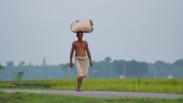 View of a farmer carrying a sack on his head Bangladesh.