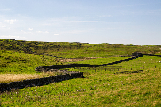 View of Vindolanda archaeological site with ancient stone walls winding through green rolling hills under a clear sky Hexham England United Kingdom. View of Vindolanda archaeological site with ancient stone walls winding through green rolling hills under a clear sky Hexham England United Kingdom.