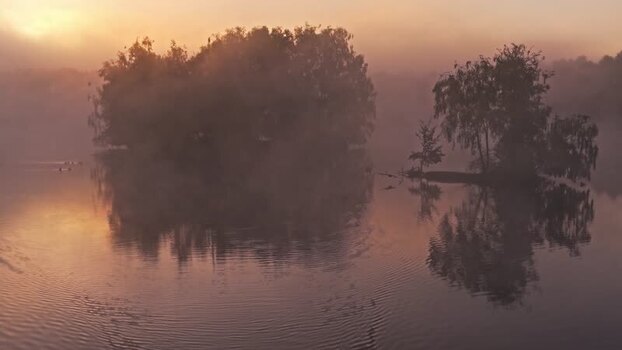 Aerial view of Venekotensee lake in mist at sunrise Germany.
