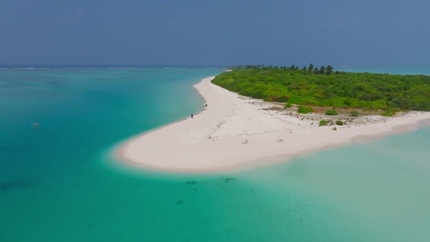 Aerial view of island with lush vegetation Maldives.