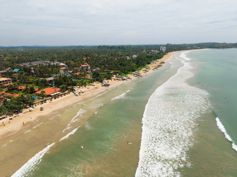 Aerial view of Weligama Beach with surfers in the turquoise water and palm trees lining the coast in Weligama Southern Province Sri Lanka.