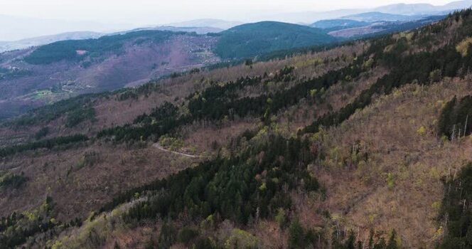 Aerial view of forested mountain slopes in Vallombrosa Italy. Aerial view of forested mountain slopes in Vallombrosa Italy.