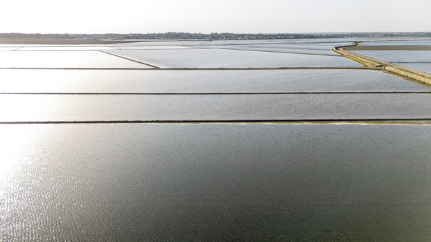 Aerial view of flooded rice paddies at Isla Minima with sunlight reflecting on the water surface and dirt paths between fields in Coria del Rio Andalusia Spain. Aerial view of flooded rice paddies at Isla Minima with sunlight reflecting on the water surface and dirt paths between fields in Coria del Rio Andalusia Spain.