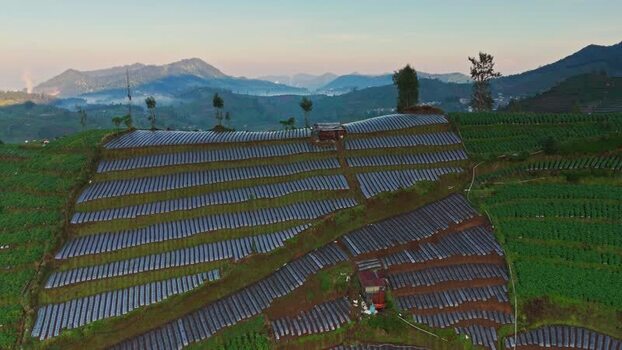 Aerial view of terraced fields on the Dieng Plateau Indonesia.