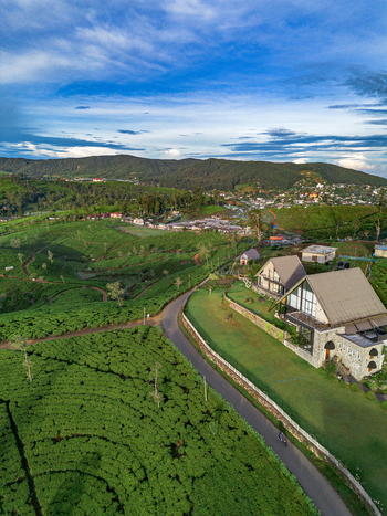 Aerial view of the lush tea plantations surrounding a modern villa with a winding road in the hill country of Nuwara Eliya Central Province Sri Lanka. Aerial view of the lush tea plantations surrounding a modern villa with a winding road in the hill country of Nuwara Eliya Central Province Sri Lanka.