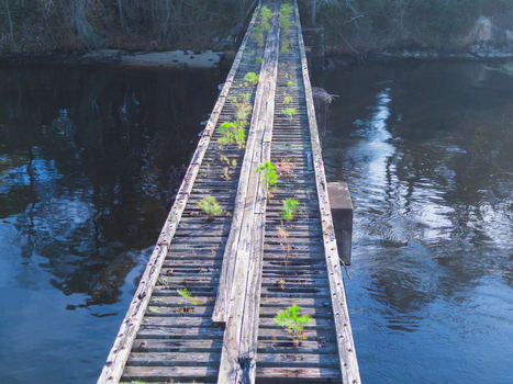 Aerial view of Atlantic Coast Line Railroad bridge over a calm river with rusted beams and wooden pilings in Castle Hayne North Carolina United States.