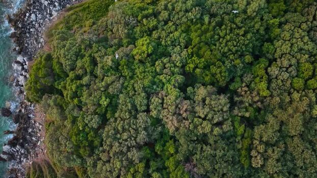 Aerial view of dense forest along the rocky coastline Albania.