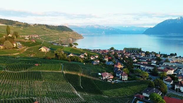 Aerial view of vineyards in Cully Switzerland.