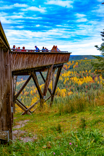 View of people standing on a wooden observation deck overlooking the colorful autumn foliage of the Black Forest under a cloudy blue sky in Offenburg Baden Wurttemberg Germany. View of people standing on a wooden observation deck overlooking the colorful autumn foliage of the Black Forest under a cloudy blue sky in Offenburg Baden Wurttemberg Germany.
