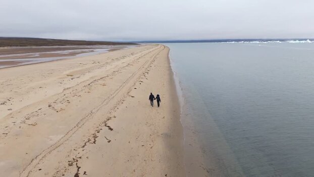 Aerial view of a couple walking on a beach Greenland. Aerial view of a couple walking on a beach Greenland.