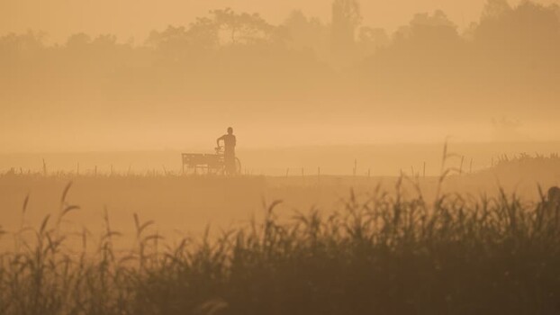 View of a person with a bicycle in a misty field Bangladesh. View of a person with a bicycle in a misty field Bangladesh.