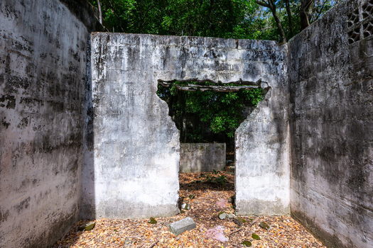 View of an abandoned concrete structure with crumbling walls and overgrown vegetation reclaiming the interior space.