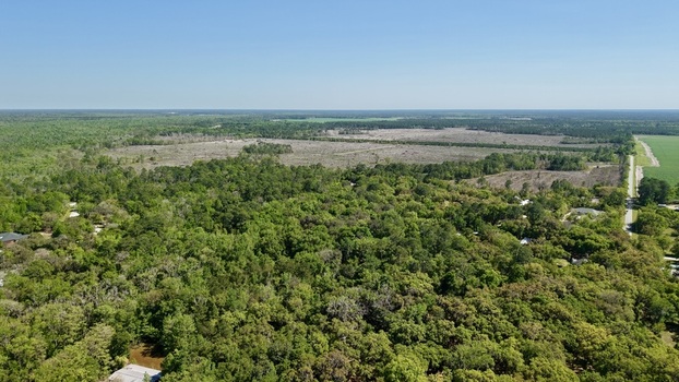 Aerial view of the lush green forest canopy and cleared land near Sixmile Creek under a clear blue sky in St. Johns County Florida United States.