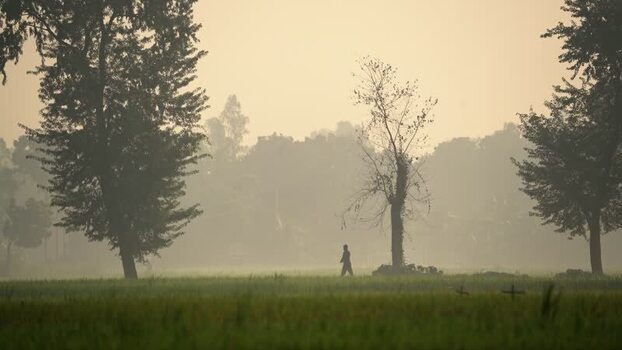 View of a person walking in a misty field Bangladesh. View of a person walking in a misty field Bangladesh.