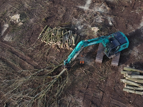 Nederland 06 July 2026 Aerial view of a logging operation with an excavator moving a fallen tree a worker in high visibility gear standing nearby and piles of timber on cleared forest ground. Nederland 06 July 2026 Aerial view of a logging operation with an excavator moving a fallen tree a worker in high visibility gear standing nearby and piles of timber on cleared forest ground.