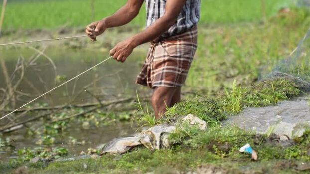View of a man pulling a fishing net by a pond in Bogura Bangladesh. View of a man pulling a fishing net by a pond in Bogura Bangladesh.