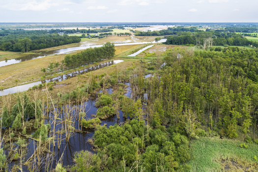 Aerial view of flooded climate buffer Ooijen Wanssum during a high water period in river Maas in summer Swolgen Limburg Netherlands.