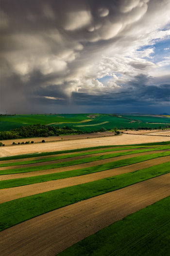 Aerial view of rolling agricultural fields with striped patterns of green crops and brown soil under a dramatic sky filled with heavy storm clouds in Nasedlovice South Moravian Region Czechia.