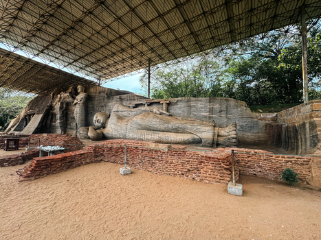 Polonnaruwa Sri Lanka 21 April 2024 View of the ancient rock cut reclining Buddha statue at Gal Vihara surrounded by historic brick walls and a protective canopy.