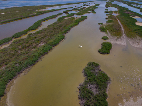 Aerial view of Karavasta Lagoon featuring marshy islands and a white bird flying over the murky water in Divjake Fier County Albania.