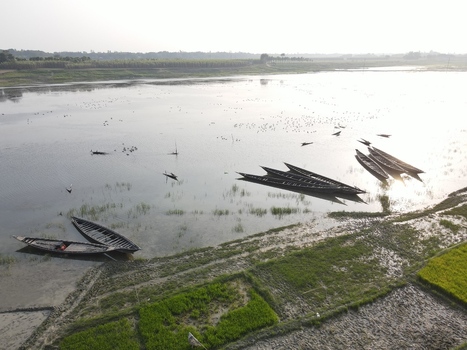 Aerial view of traditional wooden boats moored on the calm riverbank surrounded by lush green rice paddies and wetlands in Kushtia Khulna Division Bangladesh. Aerial view of traditional wooden boats moored on the calm riverbank surrounded by lush green rice paddies and wetlands in Kushtia Khulna Division Bangladesh.