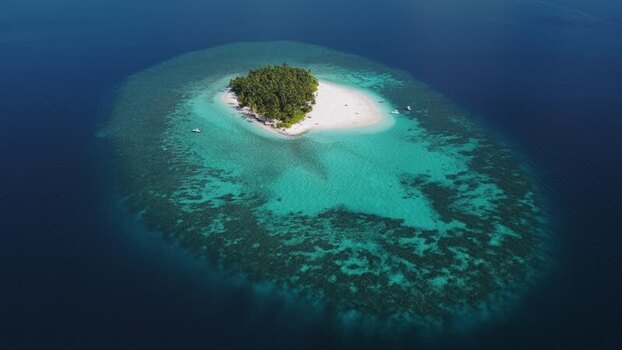 Aerial view of a tropical island with palm trees Maldives. Aerial view of a tropical island with palm trees Maldives.
